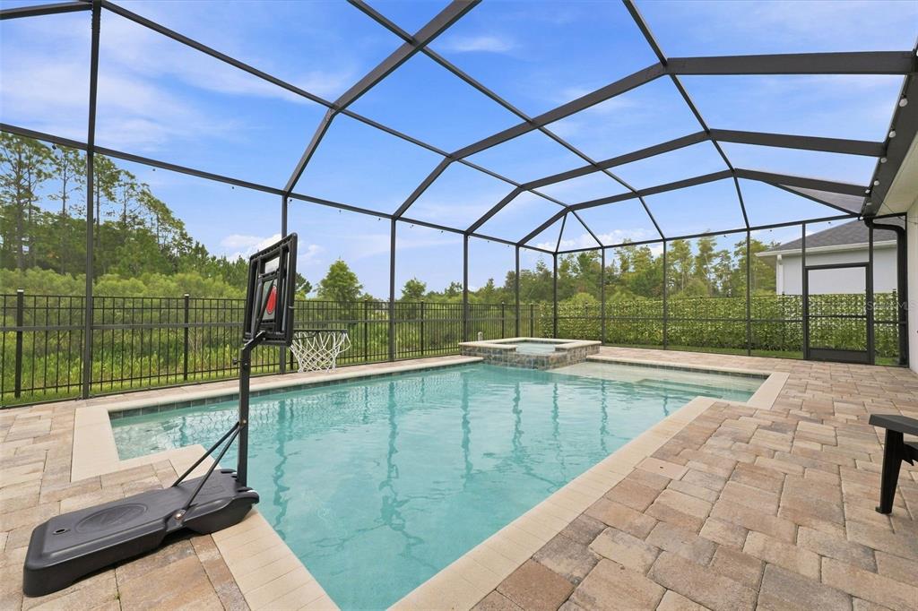A screened-in patio features a swimming pool, a raised hot tub, and a basketball hoop — 4070 EPIC COVE, LAND O LAKES, FL