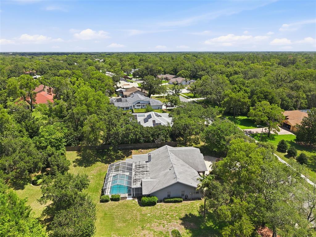 A rectangular swimming pool is enclosed by a screened lanai overlooking a grassy backyard — 18451 WINDING OAKS BOULEVARD, HUDSON, FL