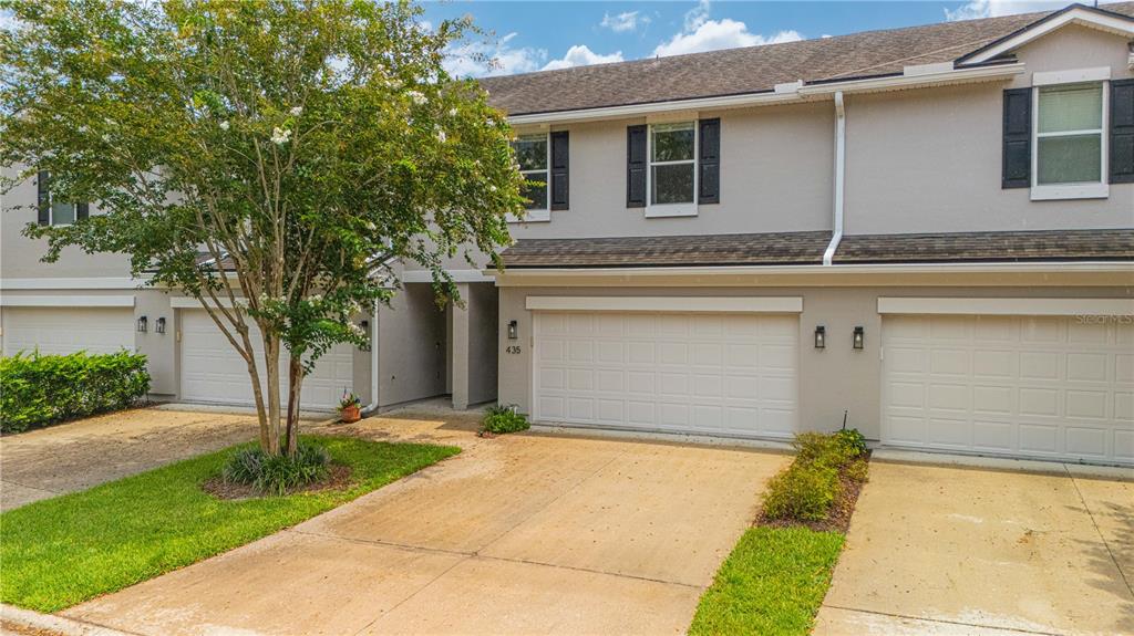 435 WALNUT DRIVE