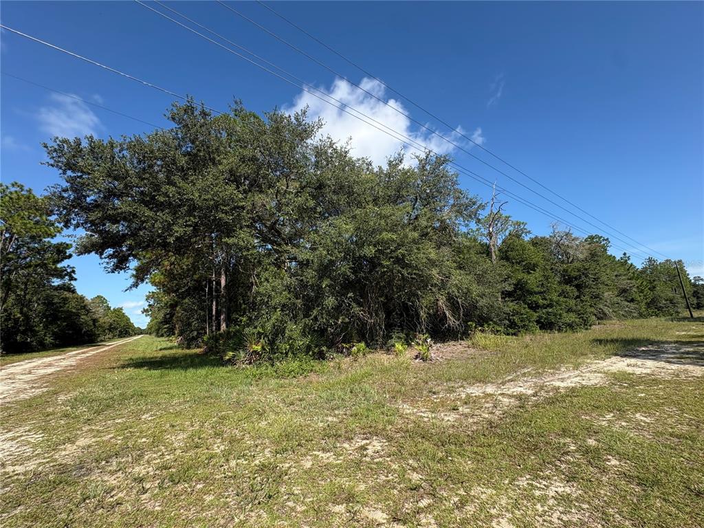 0 ALBA, INDIAN LAKE ESTATES, FL — photo 2 of 30