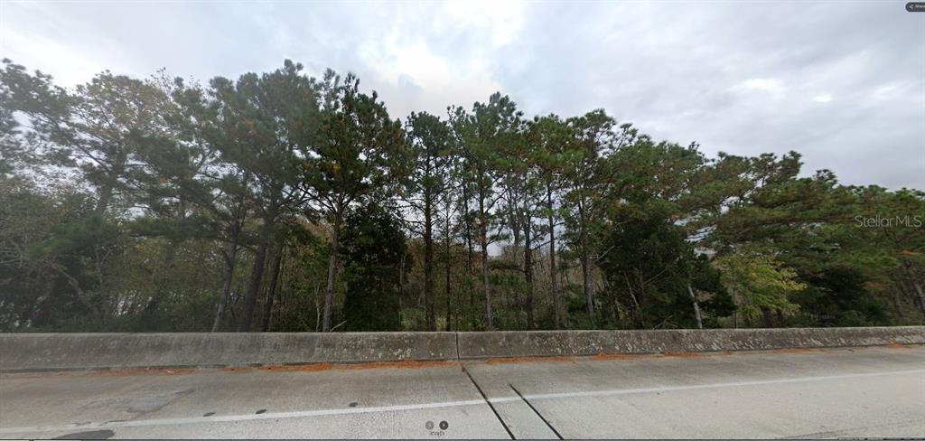 A concrete barrier separates a paved road from a dense line of tall pine trees — US-17, WINTER HAVEN, FL