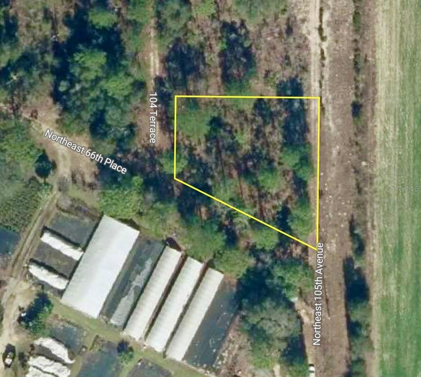 This is an aerial map showing a vacant lot outlined in yellow — 000 66TH PL. NE, BRONSON, FL