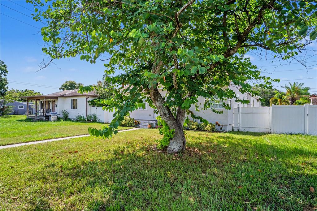 A large tree stands in the front yard of a single-story house with white siding — 5210 4TH AVENUE N, ST PETERSBURG, FL