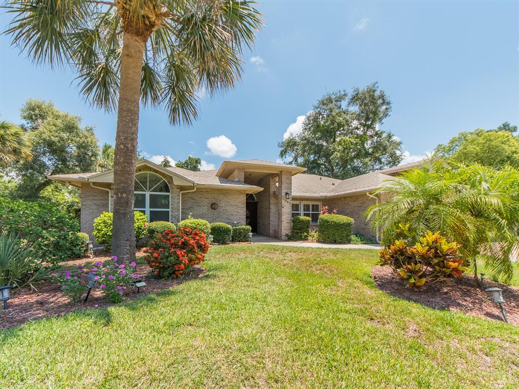 A single-story brick house with a palm tree and landscaped yard under a blue sky — 2899 TURTLE TERRACE, PALM HARBOR, FL