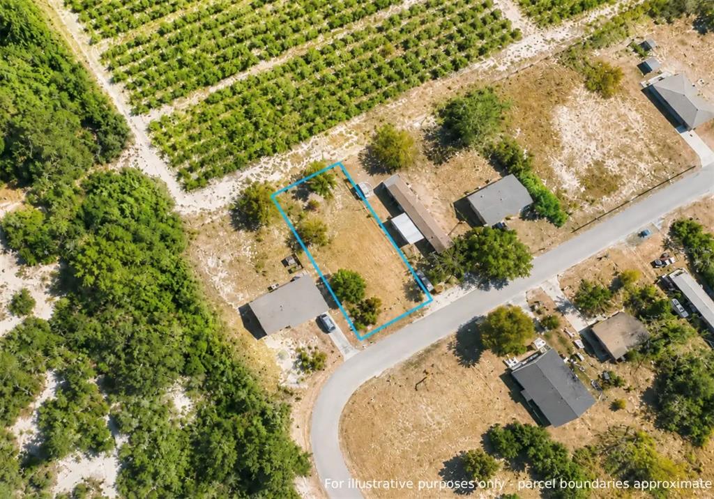An aerial view shows a vacant rectangular lot outlined in blue next to residential houses — LINCOLN ST, BABSON PARK, FL