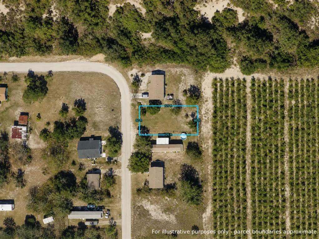 An aerial view shows a rectangular property lot with dimensions marked on a grassy area — LINCOLN ST, BABSON PARK, FL