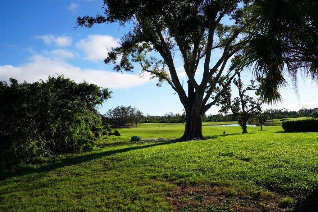 A large tree stands in a grassy yard overlooking a golf course and a pond — 2 WINDWARD PLACE, PLACIDA, FL
