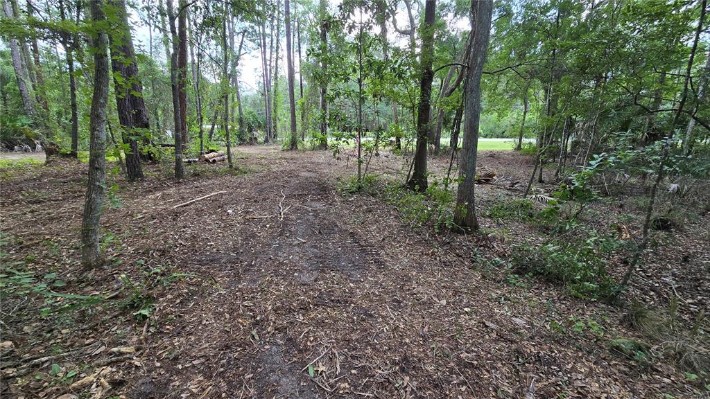 A paved road runs alongside a dense, wooded area featuring various trees and palmettos — 00 E HIGHWAY 316, FORT MC COY, FL