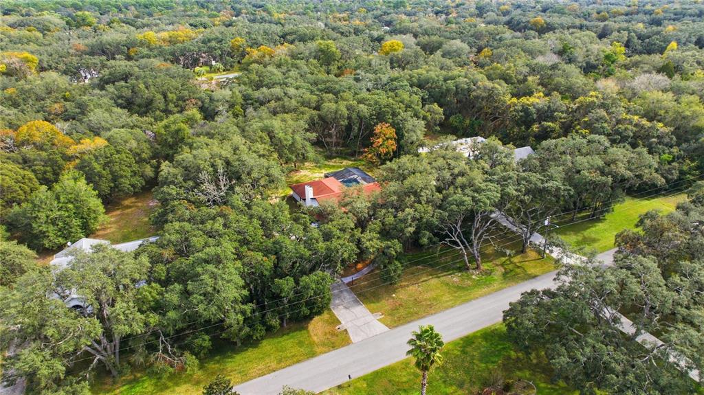 An aerial view shows a house with a red roof surrounded by many mature trees — 375 N HIGHVIEW AVENUE, HERNANDO, FL