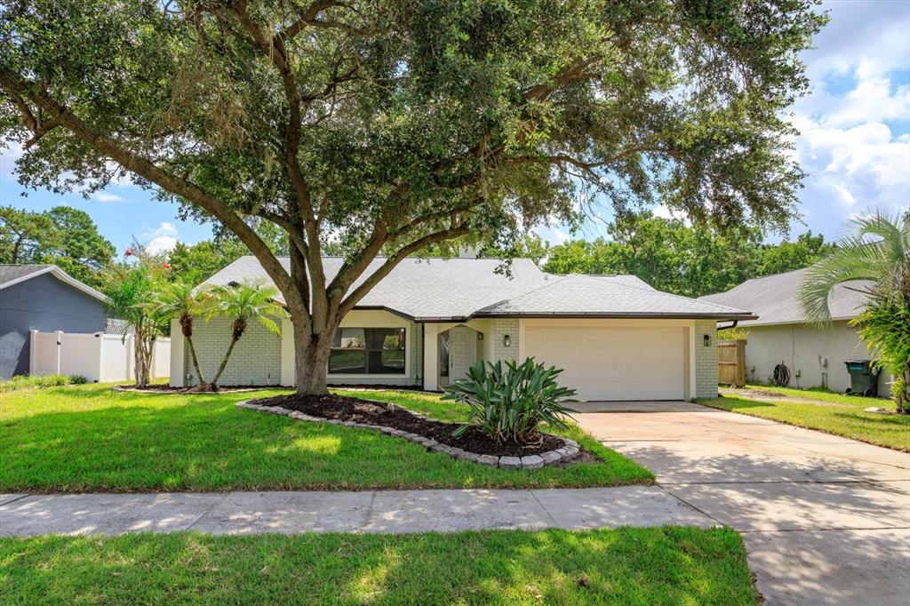 A single-story house with a large tree in the front yard and a concrete driveway — 1006 BECKSTROM DRIVE, OVIEDO, FL