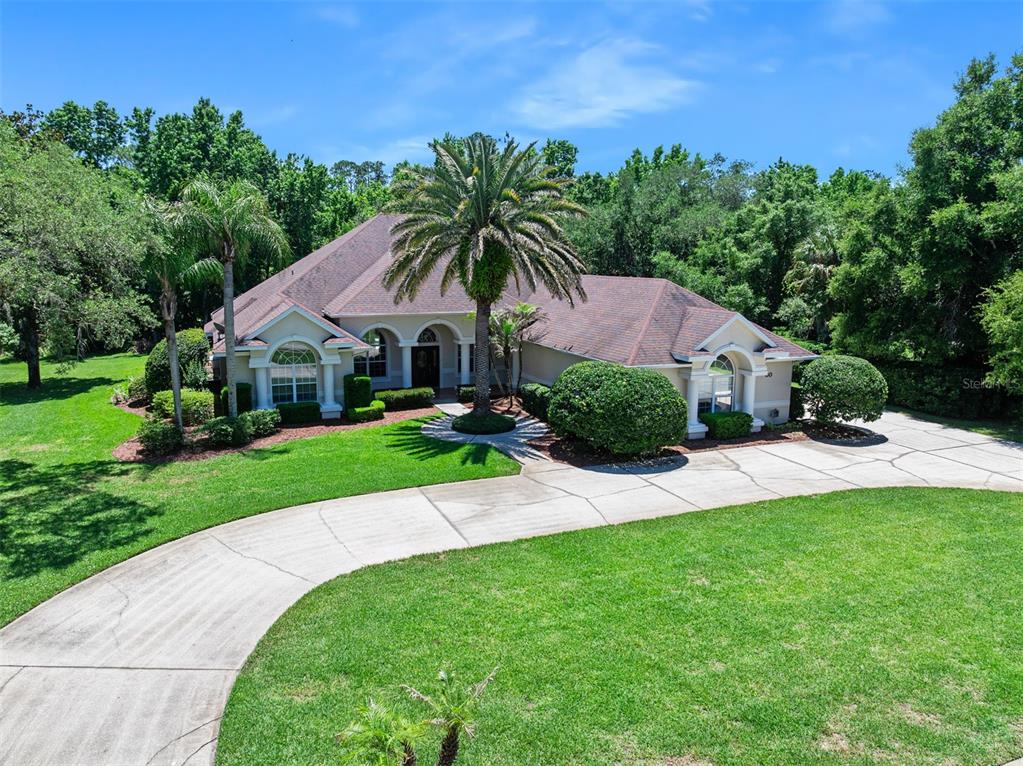 A single-story house with a curved driveway, a large palm tree, and surrounding green trees — 80 FOXCROFT RUN, ORMOND BEACH, FL
