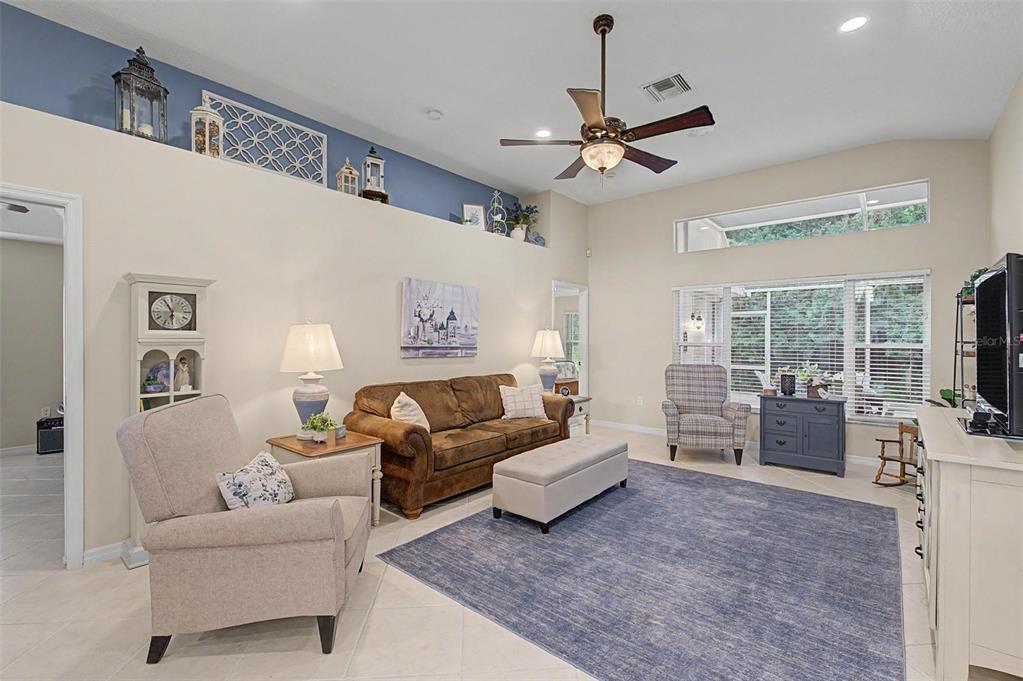 A living room features a brown sofa, blue area rug, and high ceilings with decor — 1808 ORCHARDGROVE AVENUE, NEW PORT RICHEY, FL