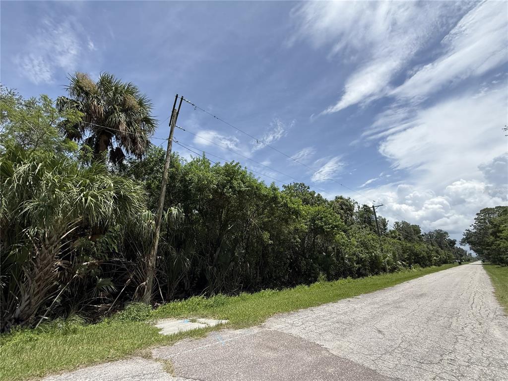 A paved road runs alongside a dense, wooded lot under a partly cloudy blue sky — 5997 KRACKER AVENUE, GIBSONTON, FL