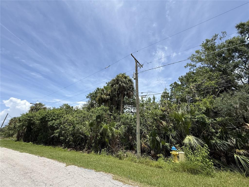 A utility pole and a fire hydrant stand beside a road bordering dense, overgrown vegetation — 5997 KRACKER AVENUE, GIBSONTON, FL
