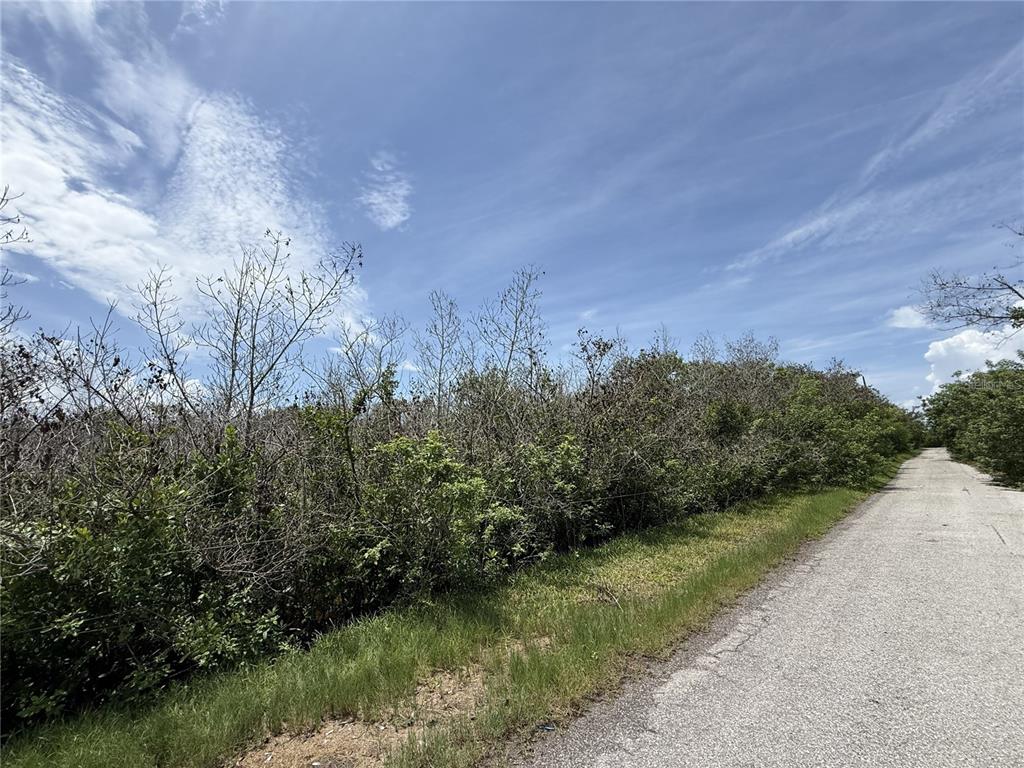 A paved road runs alongside a dense line of trees and shrubs under a blue sky — 5997 KRACKER AVENUE, GIBSONTON, FL