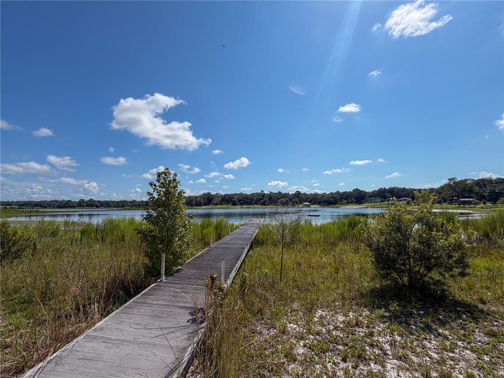 A wooden dock extends into a lake surrounded by tall grasses and trees under a sky — 170 E COWPEN LAKE POINT ROAD, HAWTHORNE, FL