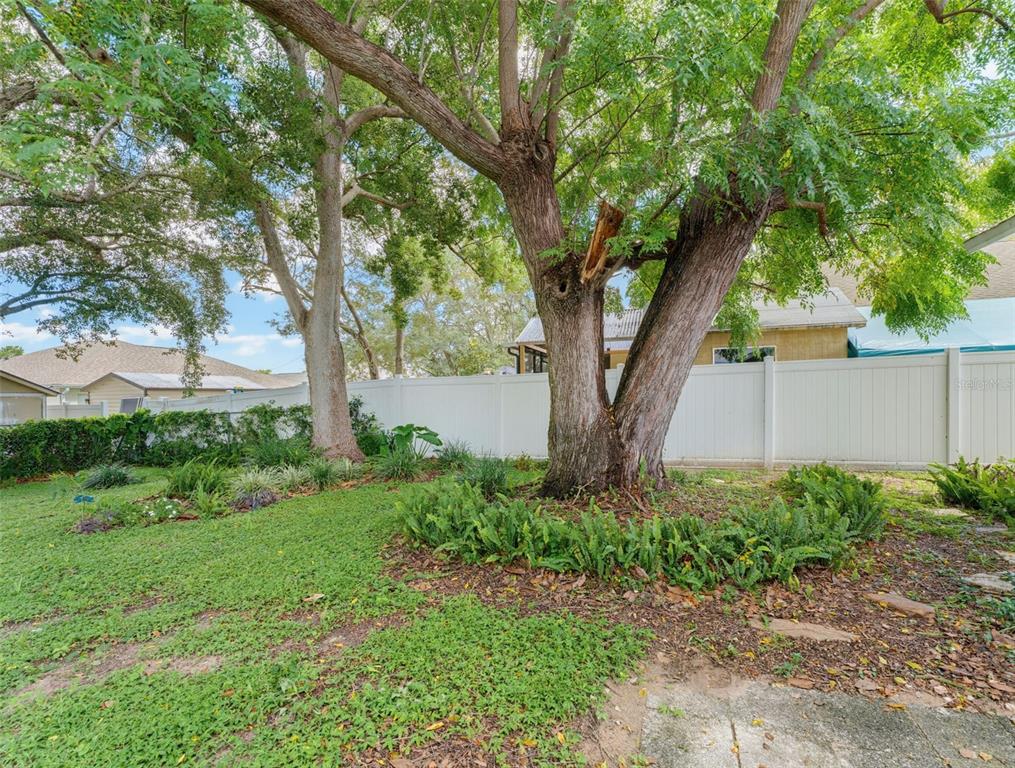 11113 NORVELL ROAD, SPRING HILL, FL — photo 3 of 30