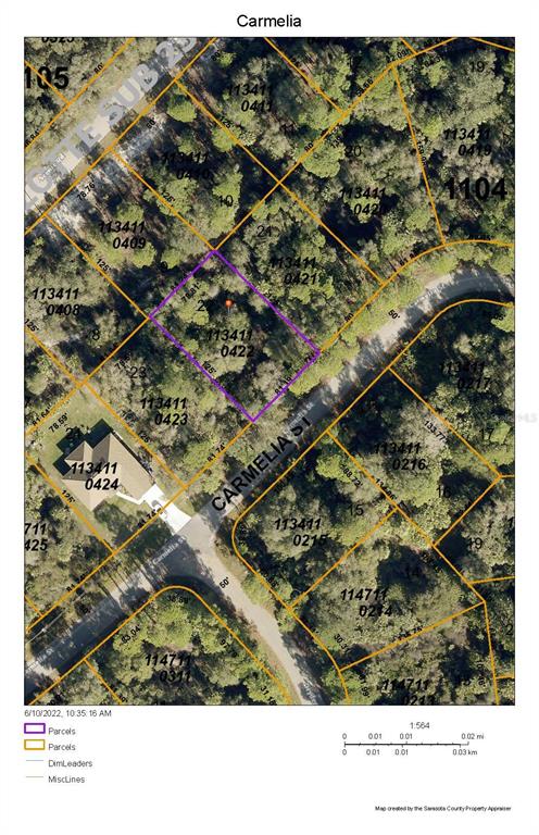 A paved road runs alongside a dense area of trees and palmetto bushes — CARMELIA STREET, NORTH PORT, FL
