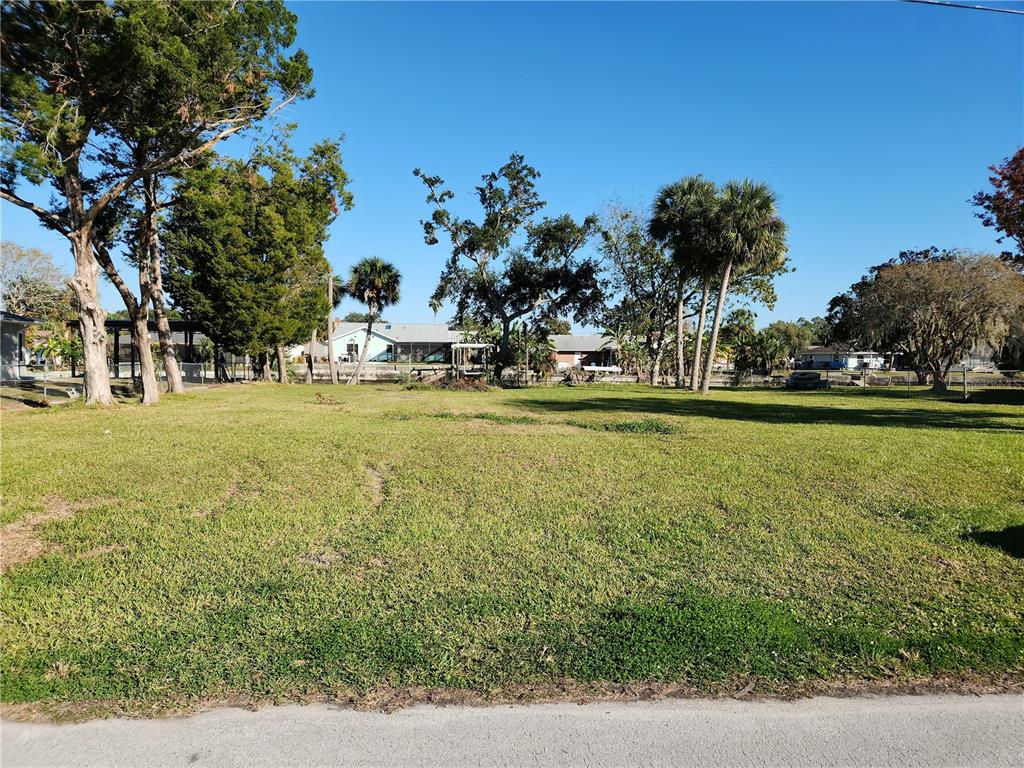 A grassy, vacant residential lot features several mature trees and palm trees under a clear sky — 3879 N SEMINOLE POINT, CRYSTAL RIVER, FL