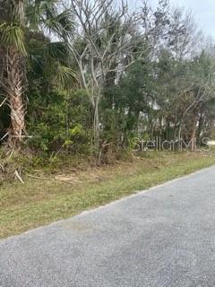 A paved road runs alongside a wooded lot with various trees and dense vegetation — 15 CEDARDALE COURT, PALM COAST, FL