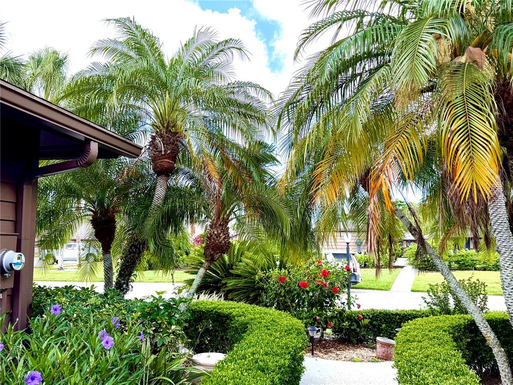 A view of a landscaped front yard with palm trees, green hedges, and red flowers — 5813 MERION WAY UNIT 5813, SARASOTA, FL