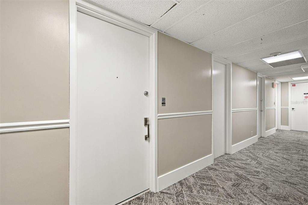 4015 BAYSHORE BOULEVARD UNIT 15F, TAMPA, FL — photo 3 of 29