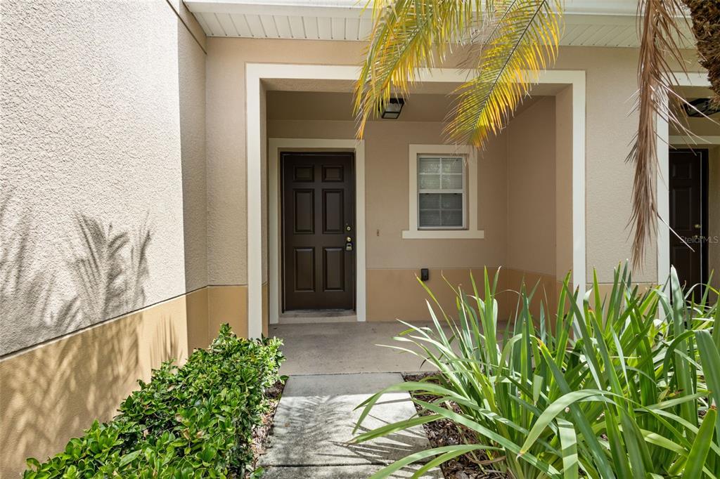 A brown front door is centered under a covered entryway with beige stucco walls — 2972 ROYAL TUSCAN LANE, VALRICO, FL