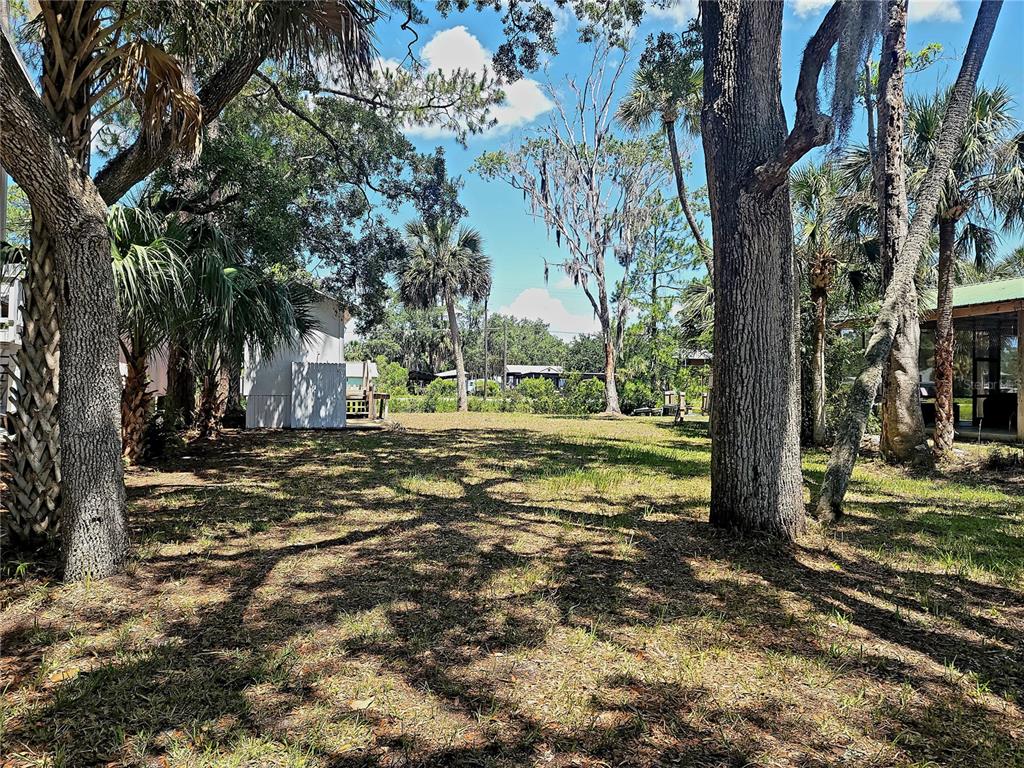 A grassy lot with several large trees and a small white shed in the background — 000 SE 245TH STREET, SUWANNEE, FL