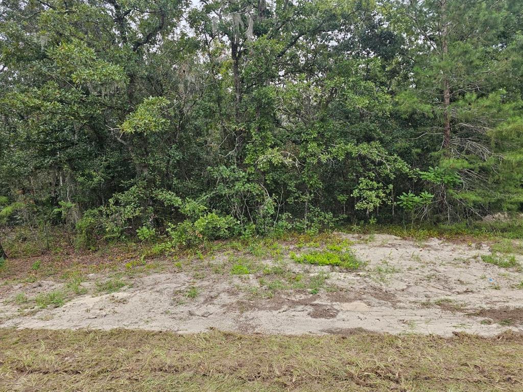 TBA SE 56TH CT., OCALA, FL — photo 2 of 6