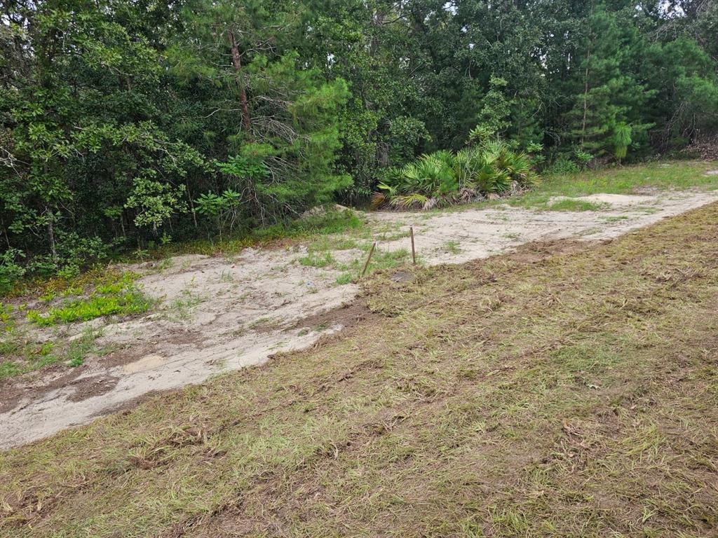TBA SE 56TH CT., OCALA, FL — photo 3 of 6