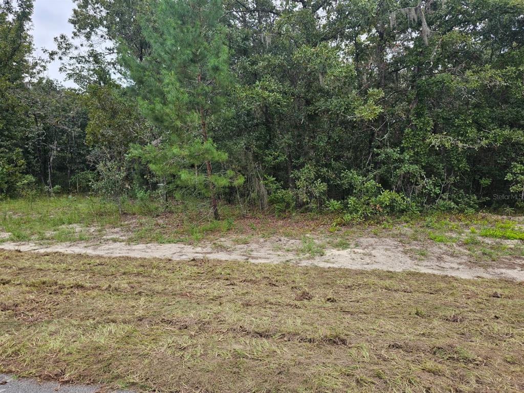 TBA SE 56TH CT., OCALA, FL — photo 5 of 6