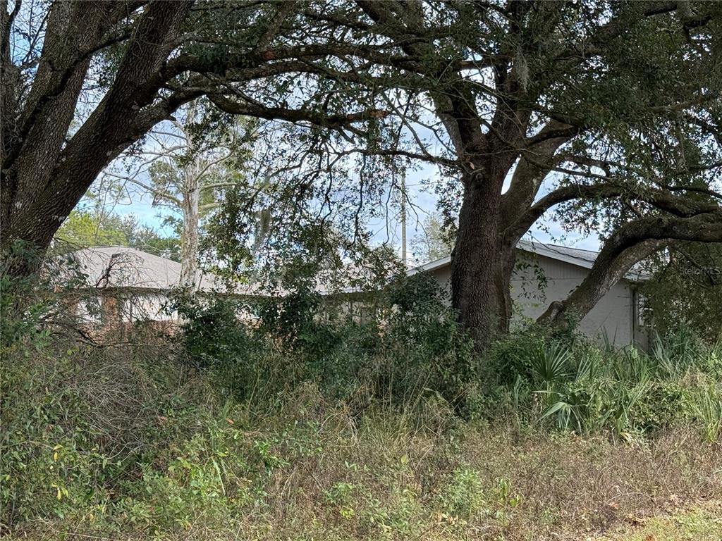 A single-story house is partially obscured by large trees and dense overgrown vegetation — 0 HILDA RD, DADE CITY, FL