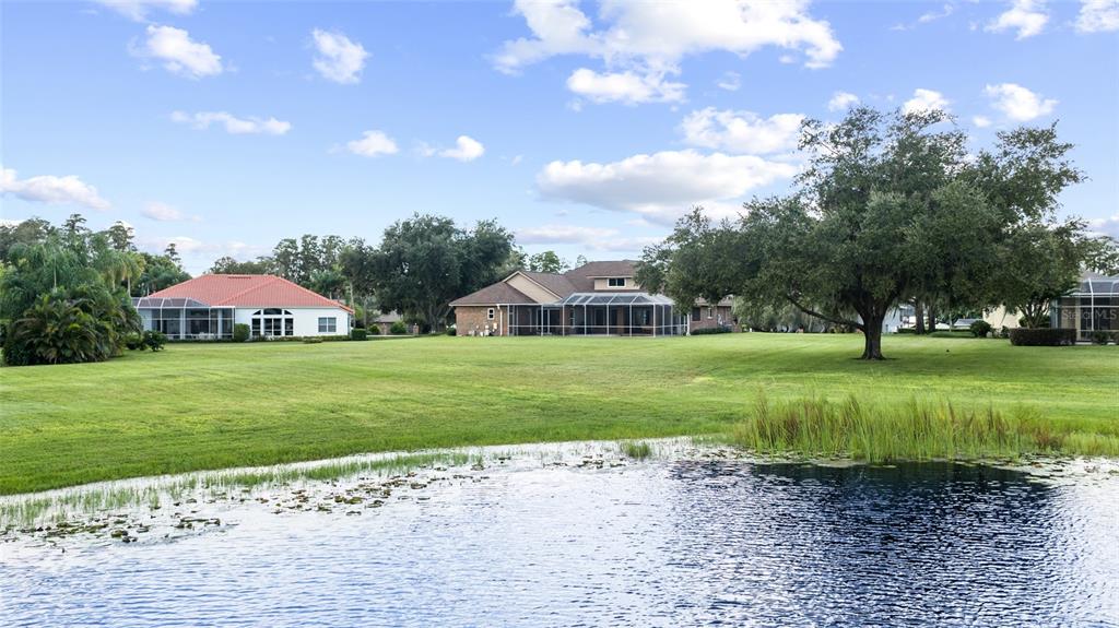 A brick-faced home entrance features a wooden front door with glass panels and stone flooring — 17825 SIMMS ROAD, ODESSA, FL