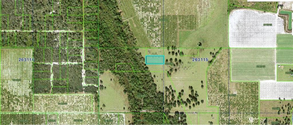 This is an aerial map showing a rectangular parcel of land outlined in blue — MILLS RD, FORT MEADE, FL