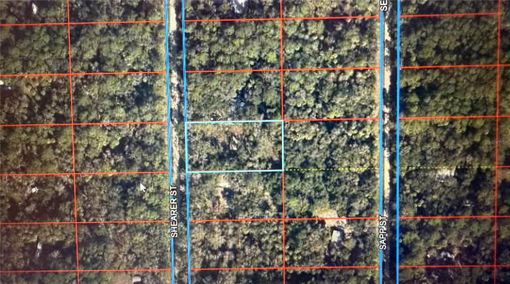 This is an aerial map showing a rectangular plot of land between two streets — 407 SHEARER STREET, INGLIS, FL