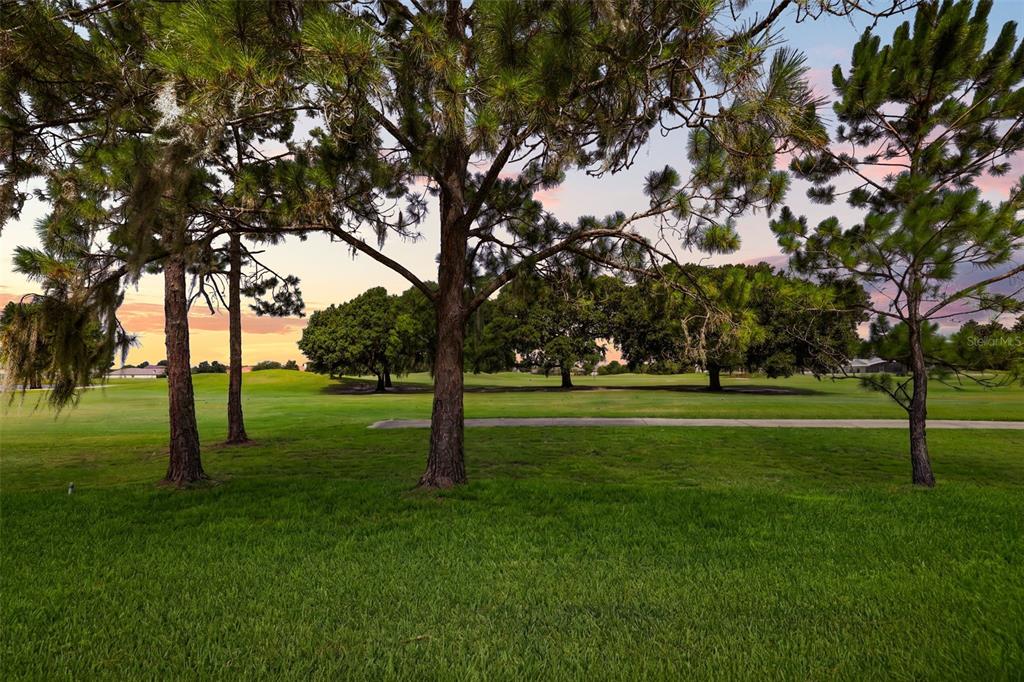 A view of a grassy golf course with mature pine trees at sunset — 29925 CYPRESS POINTE, TAVARES, FL