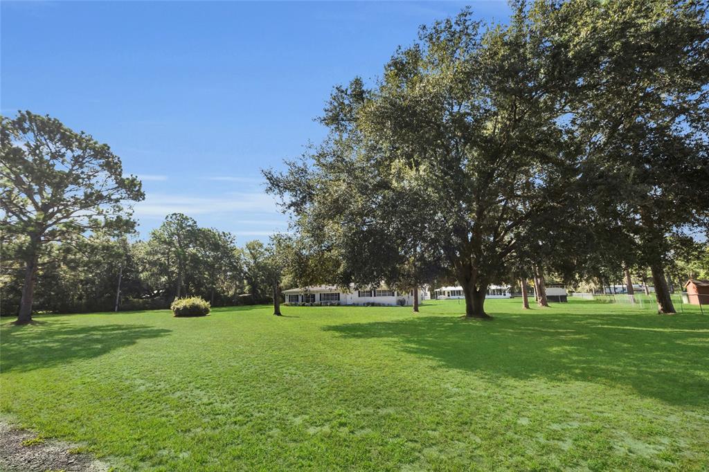 133 MOORES TRAIL, PALATKA, FL — photo 4 of 30