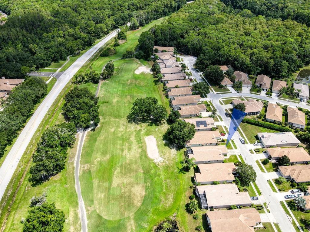 Aerial view of a residential neighborhood bordering a golf course and a wooded area — 3944 SILK OAK LANE, PALM HARBOR, FL