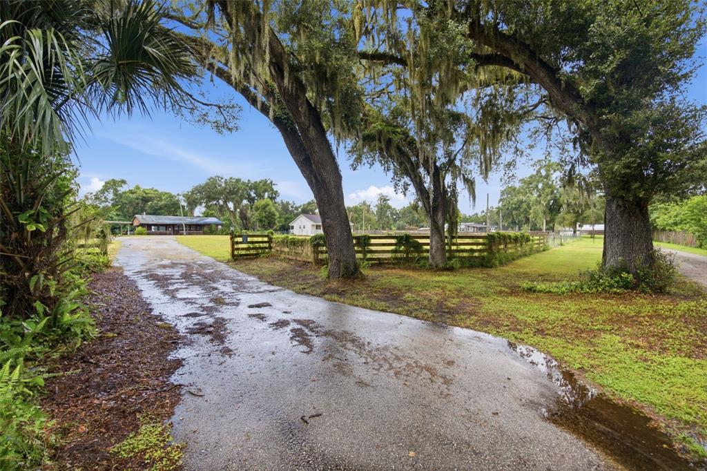 A wet paved driveway leads toward a house behind a wooden fence and large trees — 1810 BLAND WAY, DOVER, FL