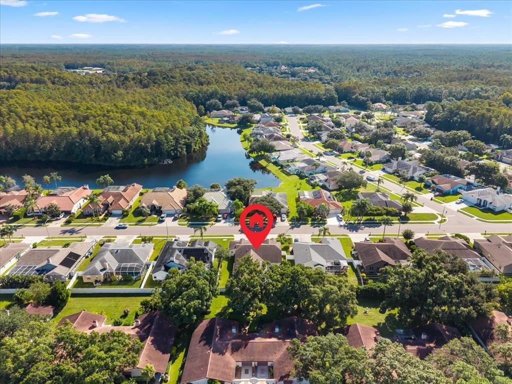 2656 SADDLEWOOD LANE, PALM HARBOR, FL — photo 2 of 52