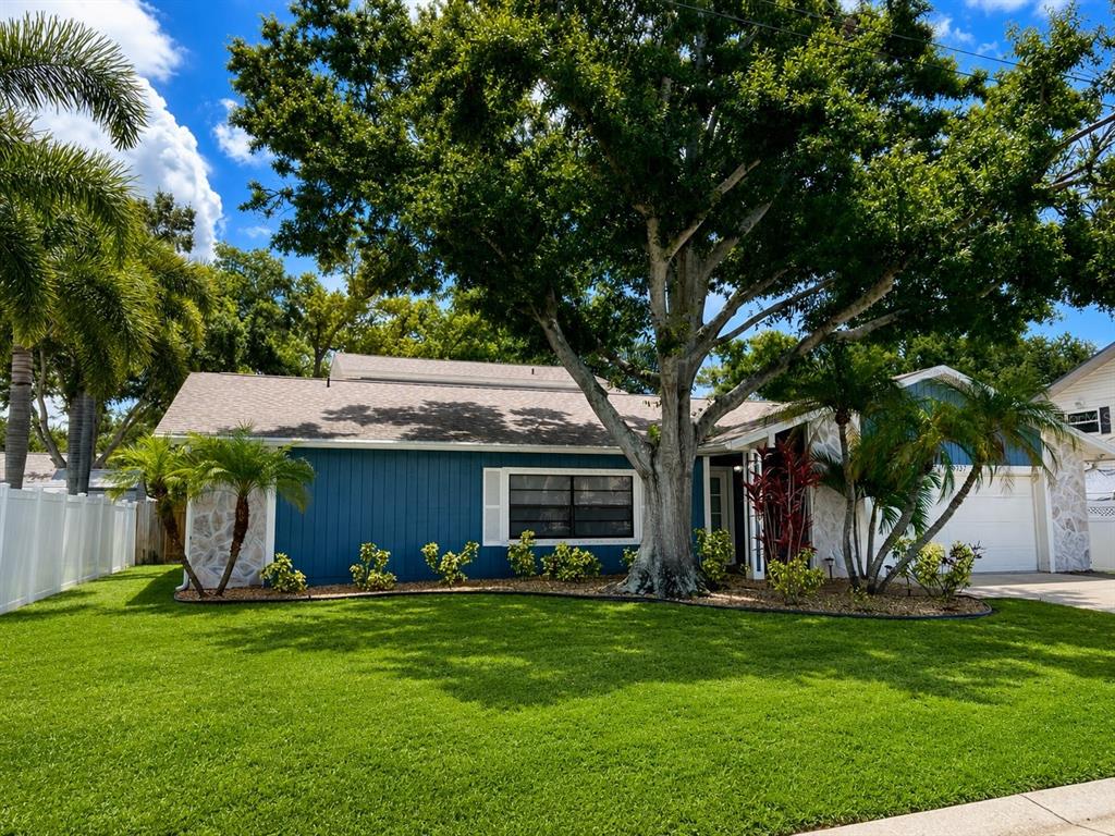 A blue single-story house with a large tree in the front yard and palm trees — 9737 135TH STREET, SEMINOLE, FL
