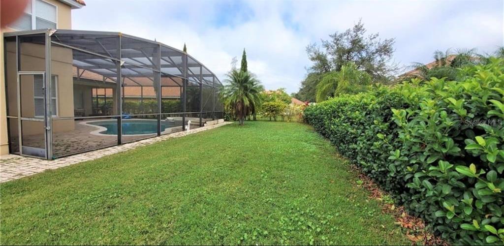 A backyard with a green lawn, a tall hedge, and a screened-in swimming pool enclosure — 10914 LEDGEMENT LANE, WINDERMERE, FL