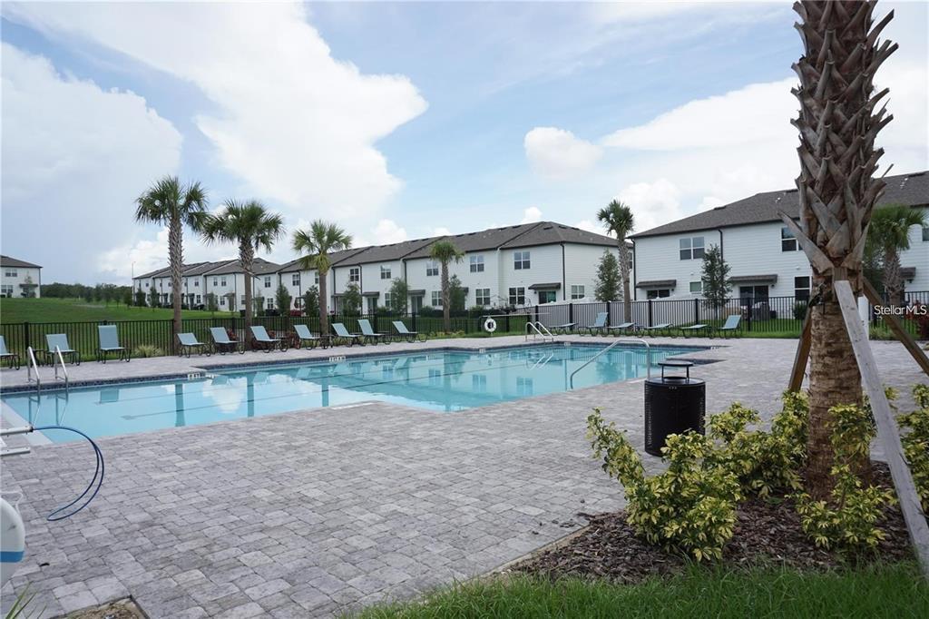 A rectangular swimming pool surrounded by a paver deck and lounge chairs near residential buildings — 342 MADISON DRIVE, DAVENPORT, FL
