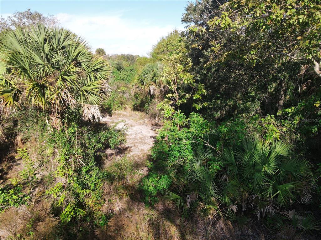 An elevated view of a sandy path winding through dense Florida scrub and palm trees — E VENICE AVENUE, VENICE, FL