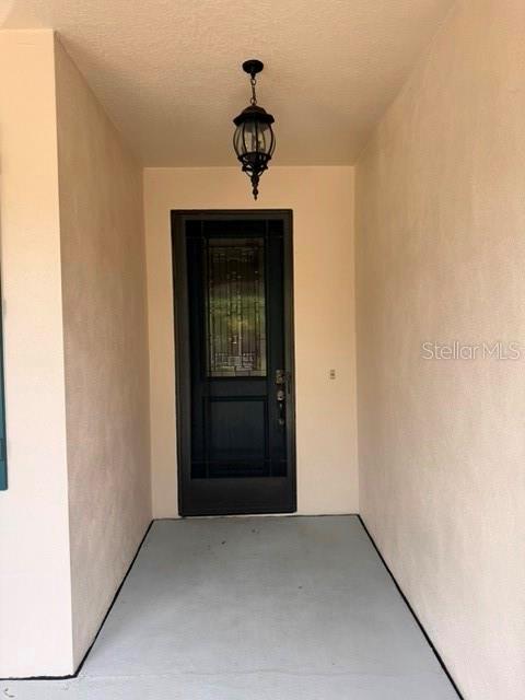 A covered entryway features a dark front door with a glass insert and a hanging lantern — 6803 LOCKINGTON COURT, TAMPA, FL