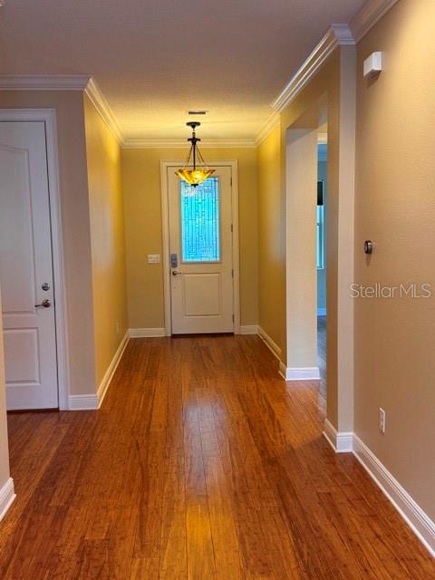 A foyer with hardwood floors leads to a front door with a decorative glass insert — 6803 LOCKINGTON COURT, TAMPA, FL