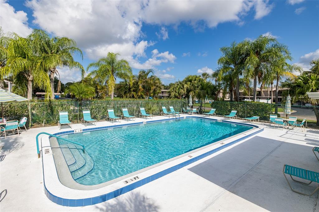 An outdoor swimming pool surrounded by lounge chairs and palm trees under a blue sky — 160 LAKEVIEW WAY UNIT 160, OLDSMAR, FL