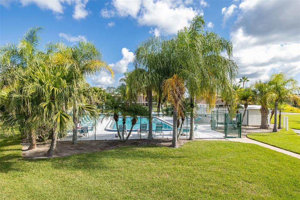 A fenced swimming pool area is surrounded by palm trees and a grassy lawn — 160 LAKEVIEW WAY UNIT 160, OLDSMAR, FL