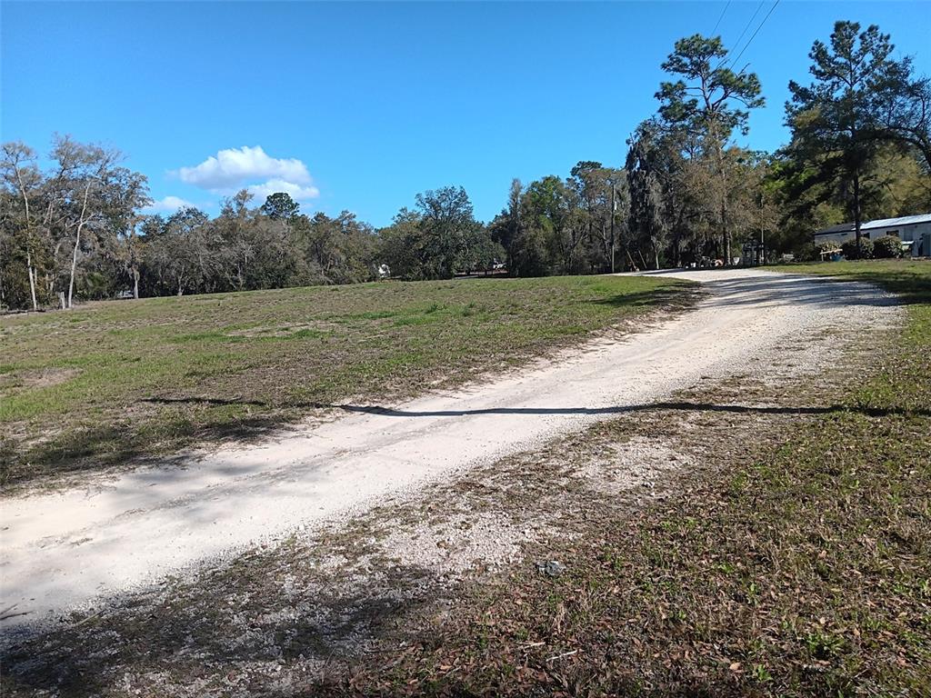 A dirt driveway curves through a grassy, partially wooded lot under a clear blue sky — 145 PALM DRIVE, BRONSON, FL