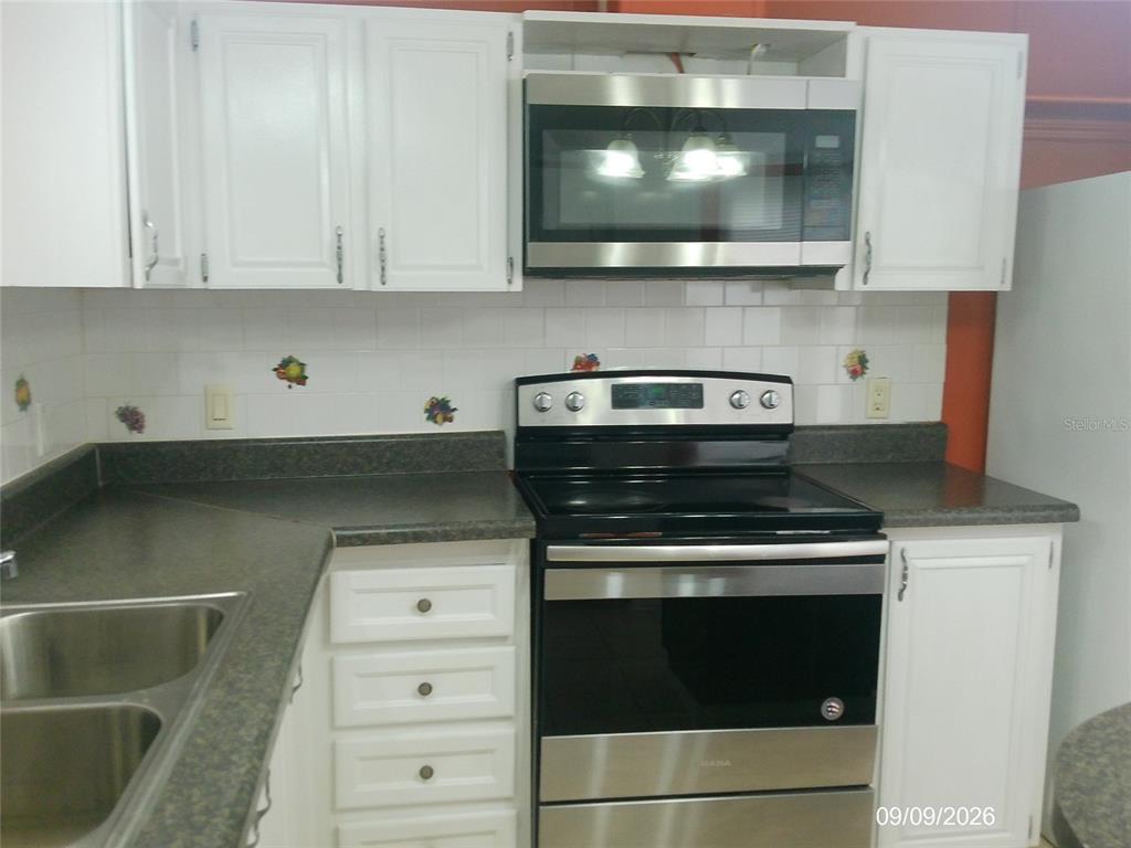 10942 SPORTSMAN TRAIL, LAKELAND, FL — photo 2 of 43